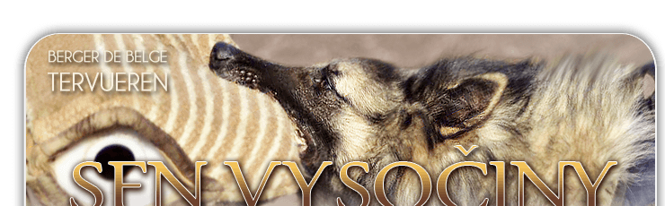 kennel Sen Vysoiny - Berger de Belge Tervueren