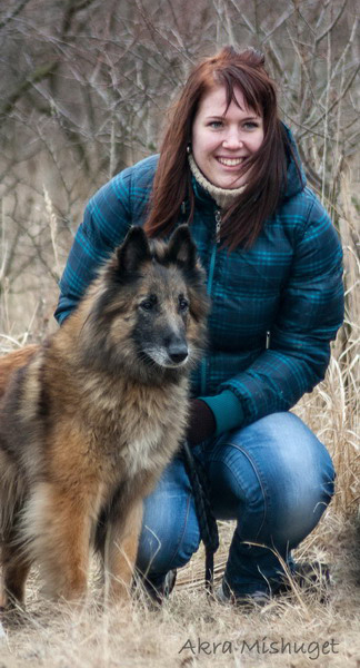 Belgian Shepherd Dog tervueren