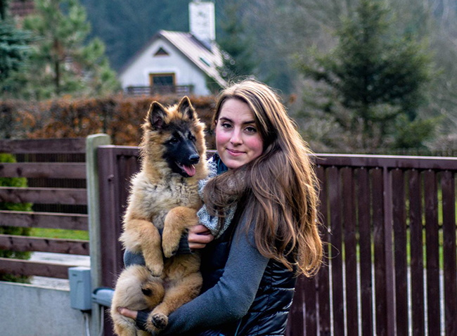 belgian shepherd tervueren puppies Sen Vysoiny