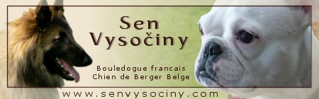 Sen Vysočiny