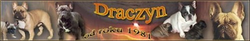 DRACZYN