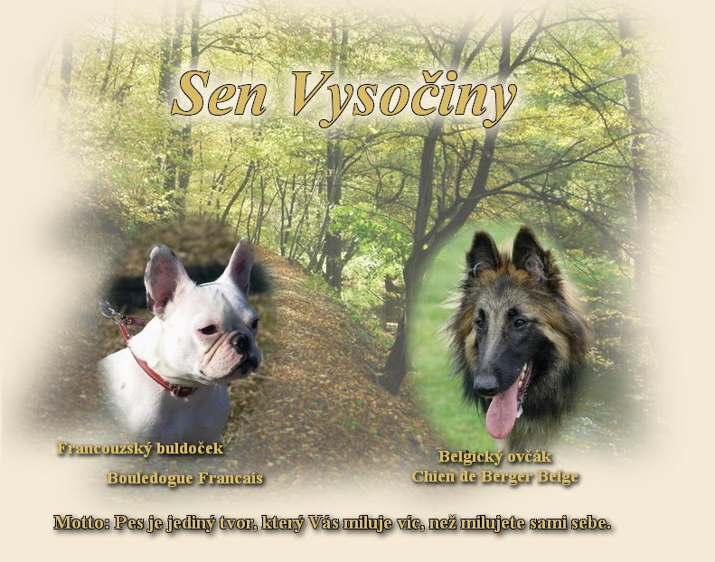 Sen Vyso�iny
