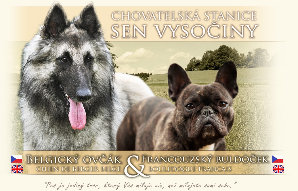 Sen Vyso�iny